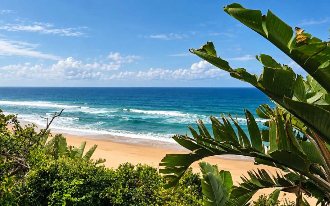 Ponta Malongane Summer Guide: Everything You Need to Know