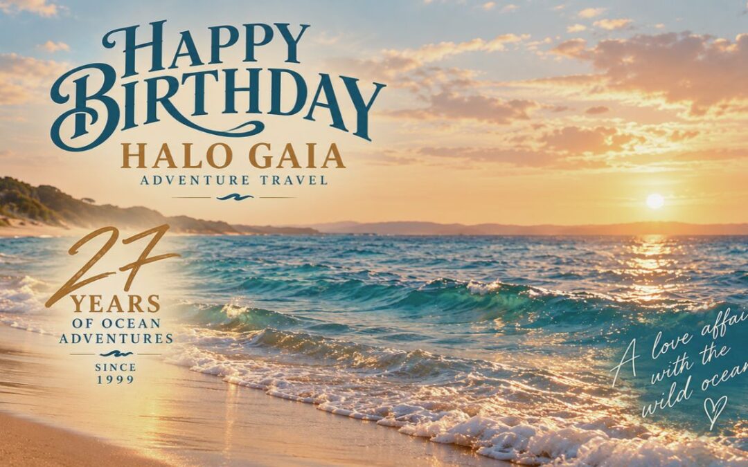 27 Years of Ocean Adventures, Connection & Magic – Happy Birthday, Halo Gaia!